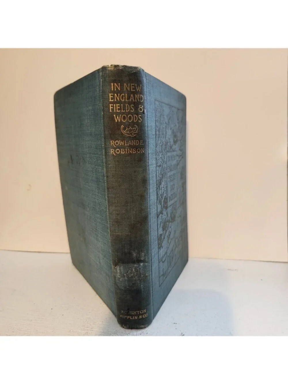 1896 1st Ed. In New England Fields and Woods Rowland Robinson Antique HC